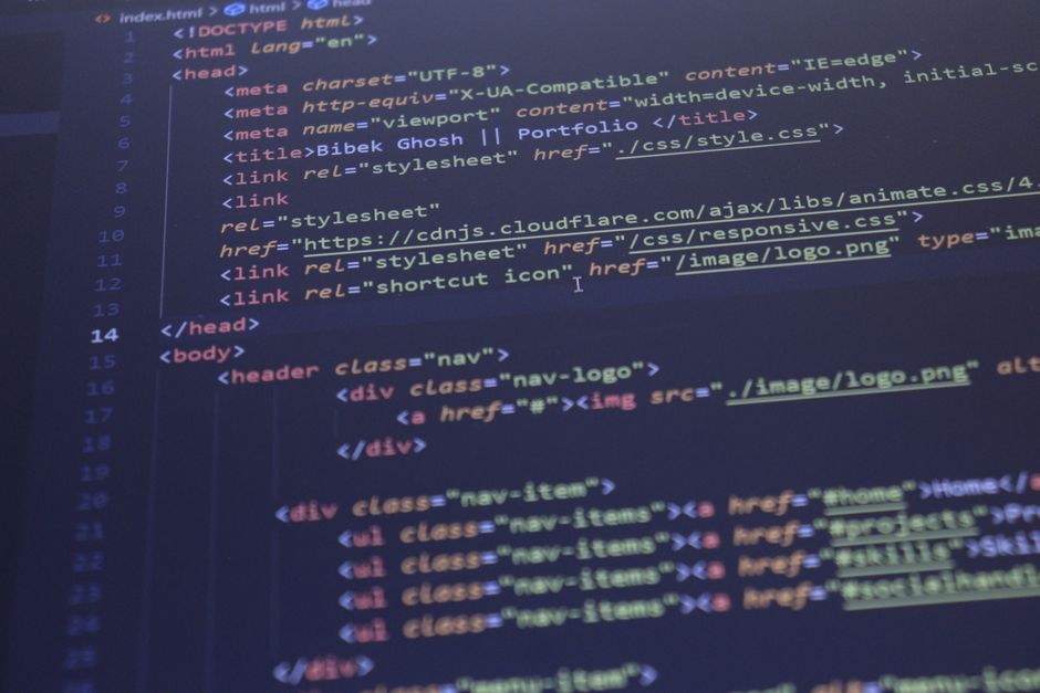 Website manager adding an accessibility widget script to a website dashboard