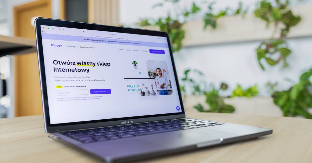 Şirket bilgileri bileşeni ile web sitesi uyumluluk deneyimi